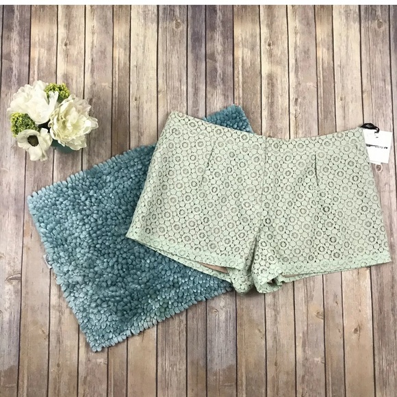Victoria Beckham for Target Pants - Victoria Beckham Mint Green Lace Shorts Plus NEW